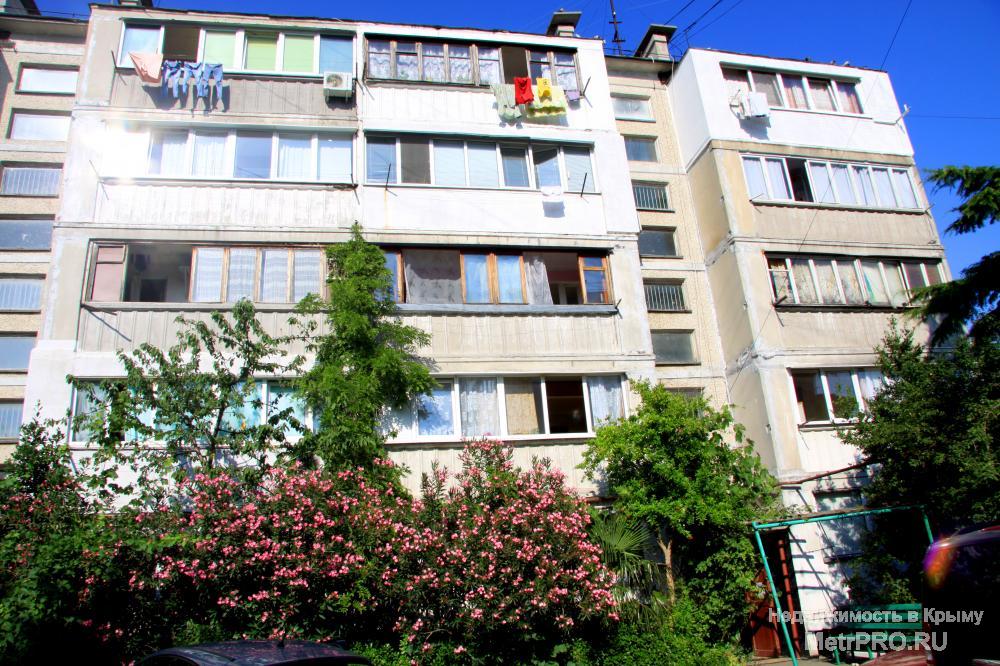 Однокомнатная грузинка в хорошем чистом жилом районе Алупки. Удобная инфраструктура для жизни. В одной минуте ходьбы... - 11