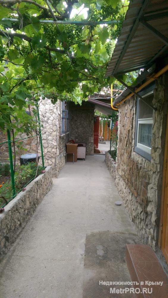 Сдаём номера в частном секторе, не далеко от центра Феодосии, на улице Володарского, 18.  Большой, закрытый, зелёный... - 3