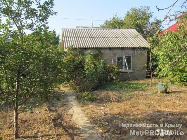 Предлагаю купить дачу на Фиоленте в СНТ 'Механизатор', район Горбатого моста. Участок 4 сотки ровный, прямоугольный,... - 3