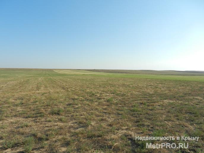 Продаю свой массив земли в Ленинском районе Крыма в с. Ленинское. Площадь 3100 Га одним куском. Коммуникации,...