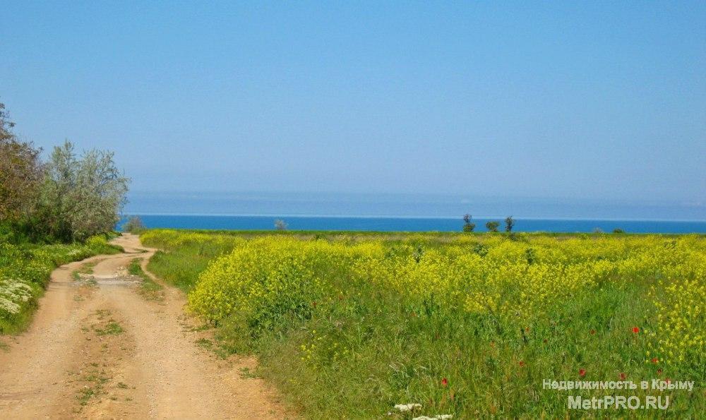 Тихое место у моря,10 КомфортНомеров  в зеленом п. Андреевка - 25 км от Севастополя. Парковка, Беседка, мангал,... - 23