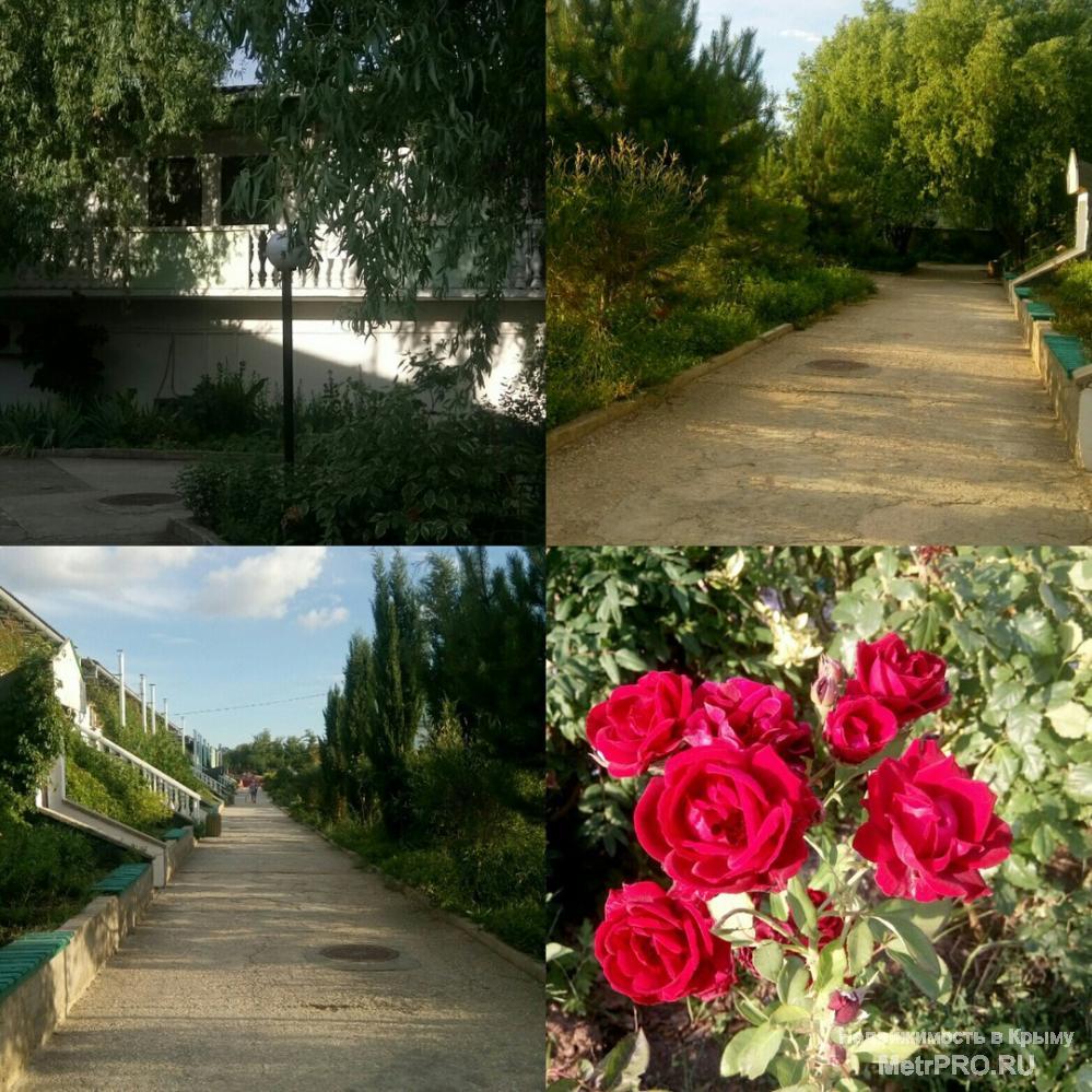 Друзья! Приглашаю отдохнуть в нашем личном номере в Крыму,в городе-герое Севастополе, на самом берегу Черного моря, в... - 27
