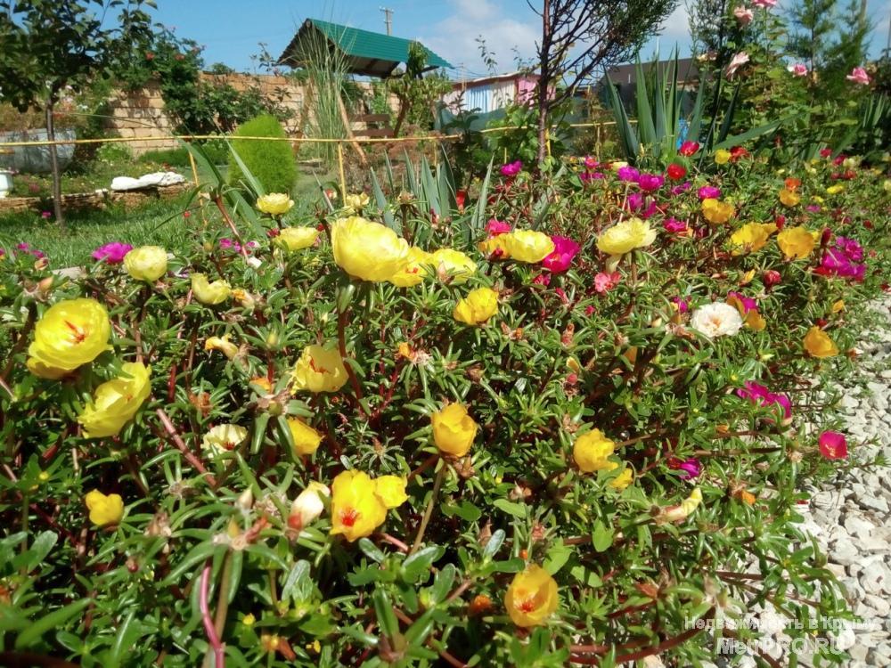 Продается готовый бизнес в Крыму, пгт. Заозерное, район Песчанки. Мини гостиница состоит из двухэтажного дома +... - 6