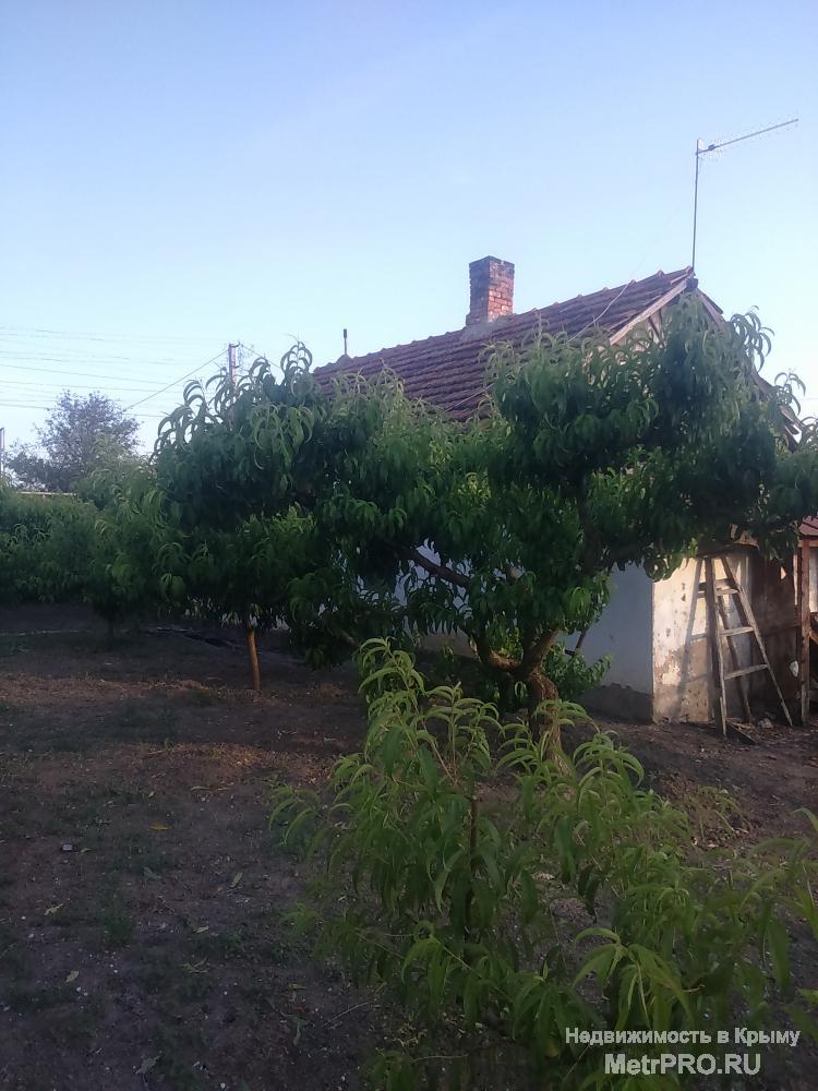 Крым, Бахчисарайский район Продам дом в 10 км от моря и 20 км от г. Симферополь, с Нововасильевка, с развитой... - 1