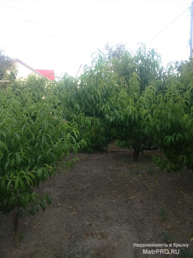Крым, Бахчисарайский район Продам дом в 10 км от моря и 20 км от г. Симферополь, с Нововасильевка, с развитой... - 3