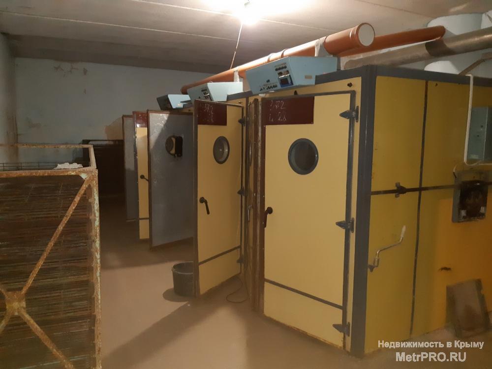 Продается птицефабрика в селе Чистеньком, 3 км от Симферополя, 2 км от новой объездной дороги. Специализация:... - 7
