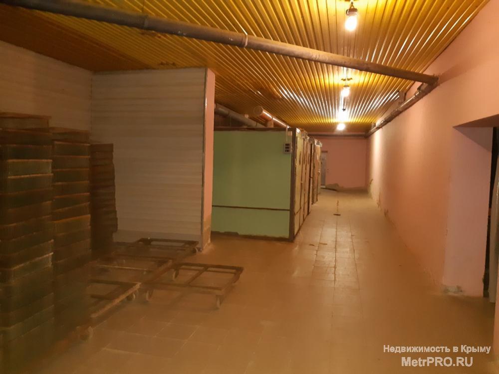 Продается птицефабрика в селе Чистеньком, 3 км от Симферополя, 2 км от новой объездной дороги. Специализация:... - 10