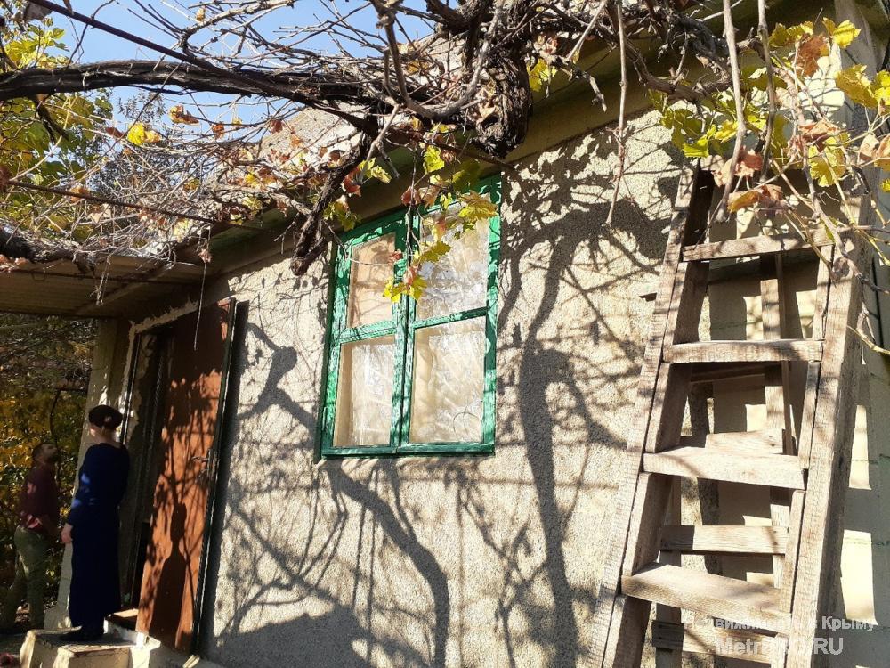 Продаю дачу 4.5 сотки земли с жилым домиком кухня+комната и мансарда. дом зарегистрирован, используется для... - 7