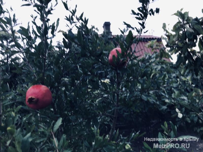 Продается в Керчи дачный участок вместе с дачей. Общая площадь 844 кв.м.  Дача находится в районе  Семи ветров.  В  6... - 24