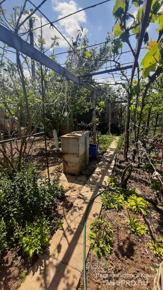 Продам дачу в Аршинцево Степное-1. Земельный участок 4 сотки в собственности (приватизирован). Домик 20 кв.м.... - 2