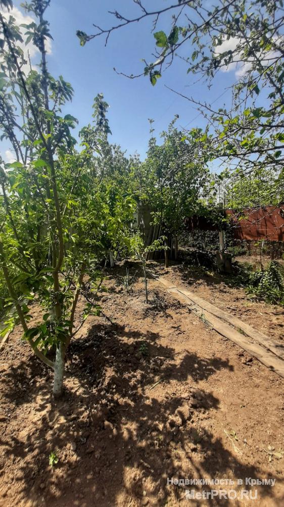 Продам дачу в Аршинцево Степное-1. Земельный участок 4 сотки в собственности (приватизирован). Домик 20 кв.м.... - 5