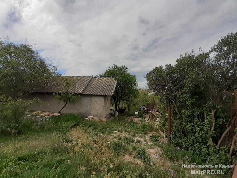 В продаже участок 12 соток в СТ Парус. Заезд с Камышового шоссе (возле жстиз Сосновый бор-района с современной... - 6