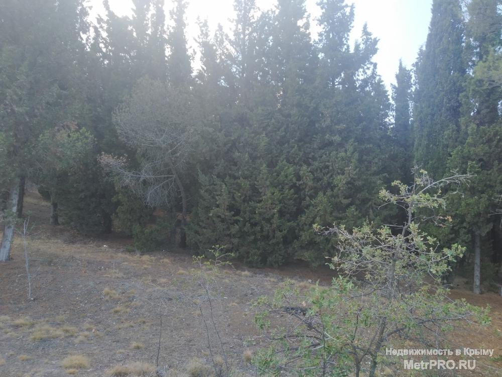 Продам земельный участок 7,5 соток в г. Алушта, пос. Семидворе, мкр. Лесной. Участок расположен над восточной... - 5