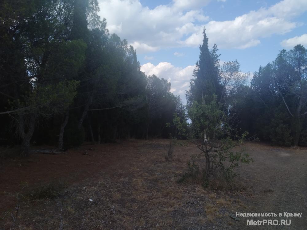 Продам земельный участок 7,5 соток в г. Алушта, пос. Семидворе, мкр. Лесной. Участок расположен над восточной... - 6