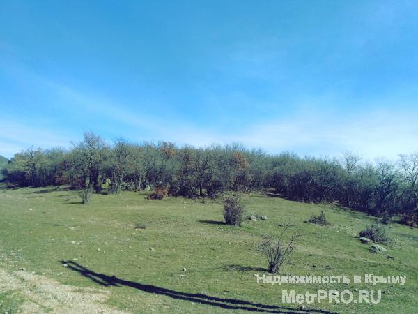 Продаётся участок 10 соток (ИЖС) в г. Алушта, с. Лучистое. Прекрасная панорама на 360 градусов, не перекрываемый вид... - 1