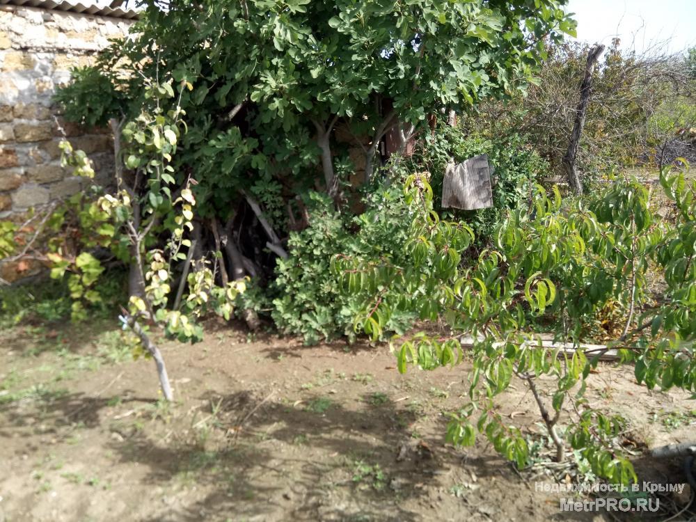 Продам участок в пригороде Евпатории Заозерном, Песчанка. Размер участка 6 соток, коммуникации: вода заведена, свет и... - 1