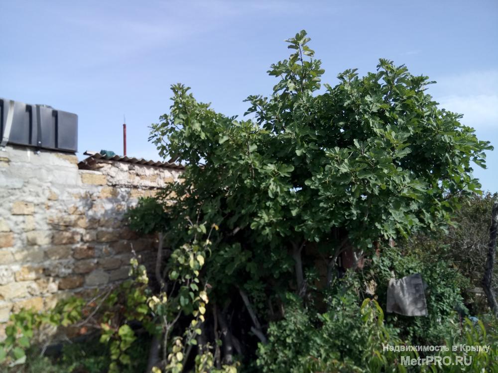 Продам участок в пригороде Евпатории Заозерном, Песчанка. Размер участка 6 соток, коммуникации: вода заведена, свет и... - 2