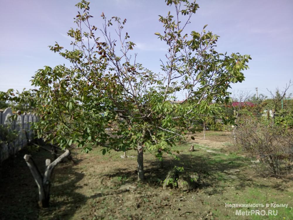 Продам участок в пригороде Евпатории Заозерном, Песчанка. Размер участка 6 соток, коммуникации: вода заведена, свет и... - 7