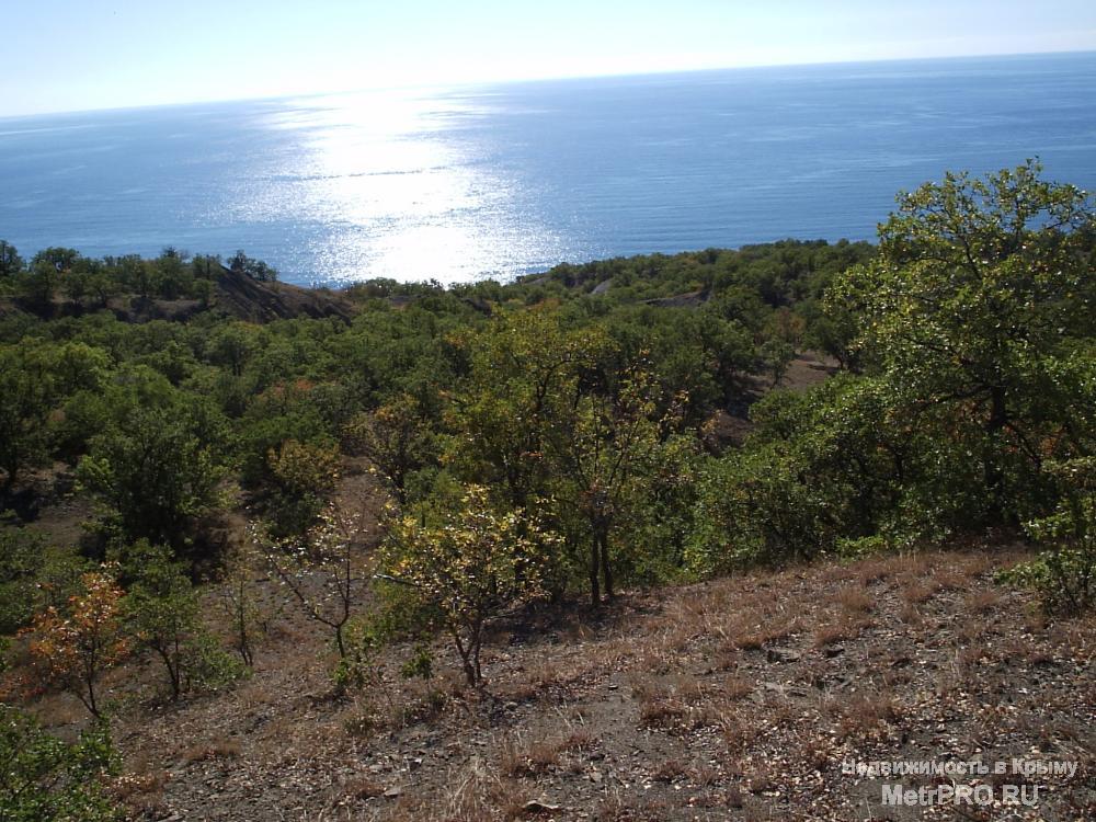 12 га на берегу моря ЮБК  Эксклюзивное предложение – земельный участок площадью 12 гектар на Южном берегу Крыма.... - 1