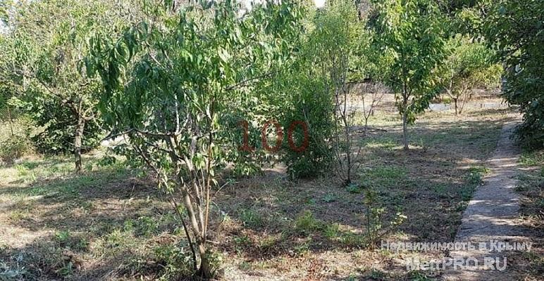 дачный участок 10 соток СНТ в 'Новозбурьевка', в 7 км от Симферополя. Очень удобное местоположение: рядом с городом,...