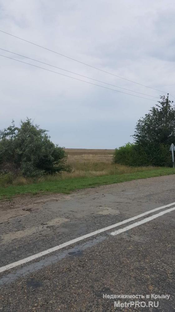 Продается участок площадью 20 соток. Расположение: село Стерегущее. Коммуникации: скважина, электричество по границе... - 1