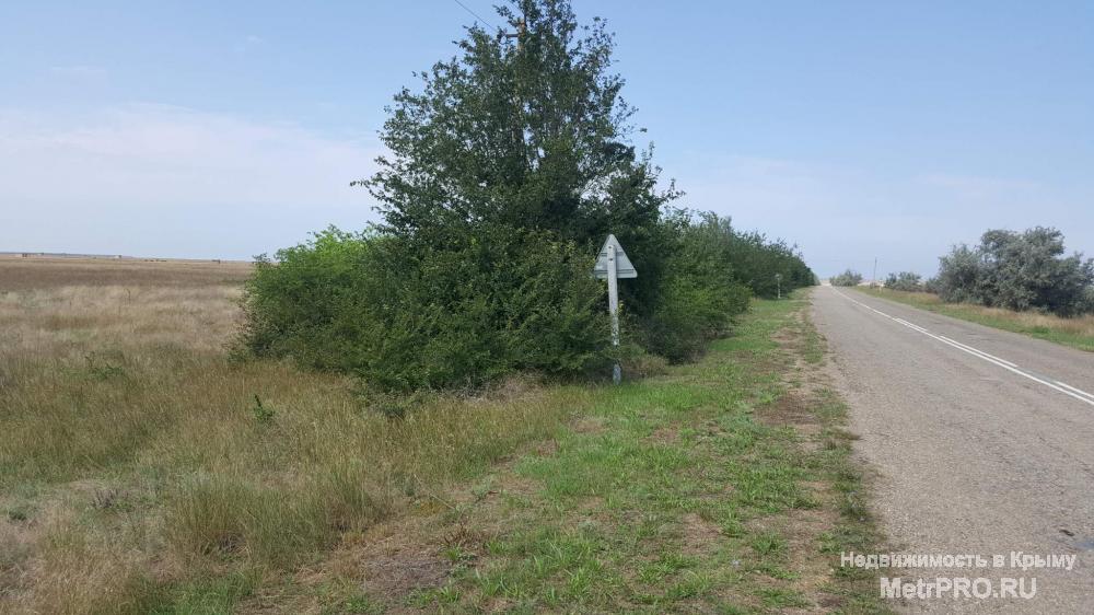 Продается участок площадью 20 соток. Расположение: село Стерегущее. Коммуникации: скважина, электричество по границе... - 5