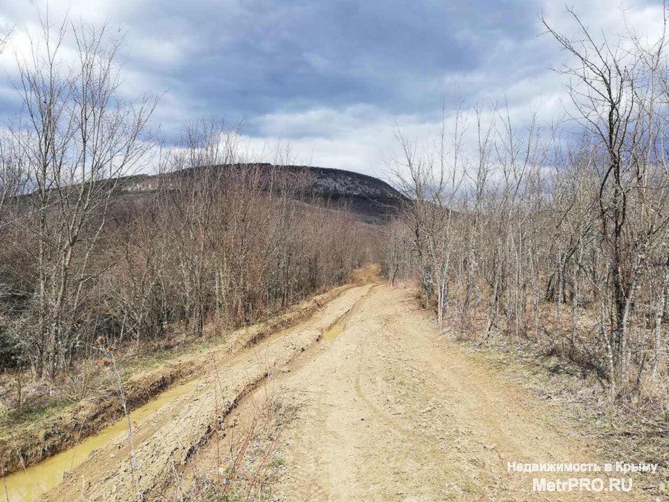 Продам земельный участок в горном Крыму сельскохозяйственного назначения 80 соток в с.Высокое Бахчисарайского района,... - 4