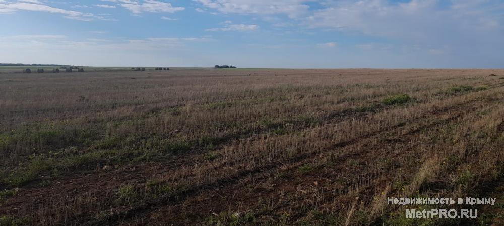 Продам землю сельхозназначения площадью 130215 соток,это 2 участка. 1. пашня площадь 11.3626;  2.Пастбище площадь... - 1