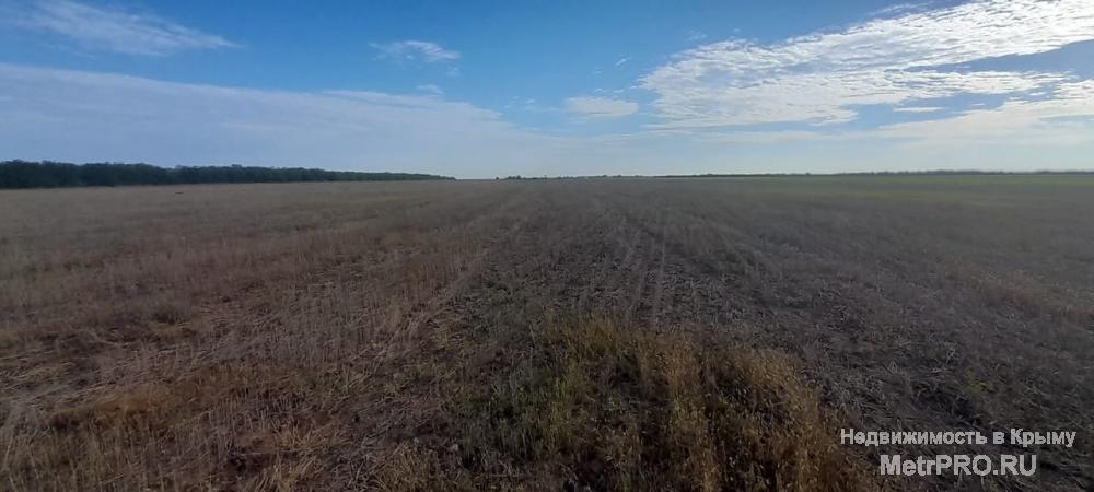 Продам землю сельхозназначения площадью 130215 соток,это 2 участка. 1. пашня площадь 11.3626;  2.Пастбище площадь... - 7