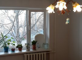 Продам однокомнатную квартиру ул.Совхозная ( Луговое) , по...