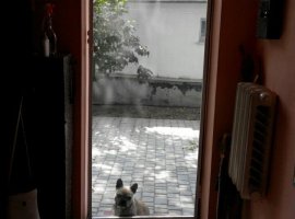 Сдам дом по ул. Дорожной. Двор общий с хозяйкой, все удобства, две...