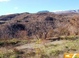 п Лазурное, Алуштинский горсовет, участок 25 соток, ИЖС. На участок...