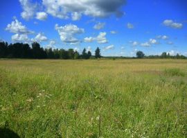 пгт Приморский, Парус СТ, 2 линия. Продажа, участок, 12 соток,...