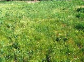 г Феодосия, массив Степной. Продажа, участок 5,6 соток под...