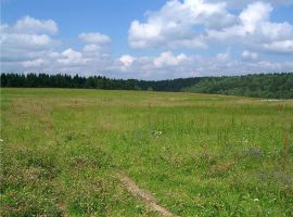 Продам ухоженный земельный участок под ИЖС в Каменке (Симферополь)...