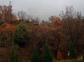 Крым, Ялта, пгт Симеиз, п. Оползневое. Участок на ЮБК 6 соток....