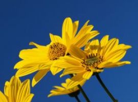 Сдается   длительно(без выселения на лето и поднятия цены)...