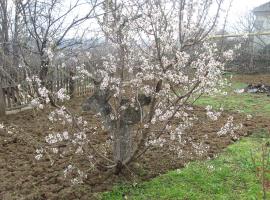 Продам одноэтажный дом  ул. Переяславская (Северная сторона) с...