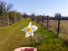 Участок 5 соток в Крыму – продажа участка в Сакском районе Крыма
В...